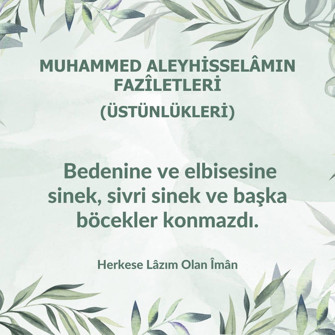 Üstünlükleri (16)